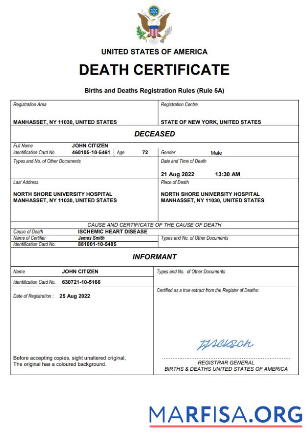 Printable USA vital record death certificate Word and PDF template